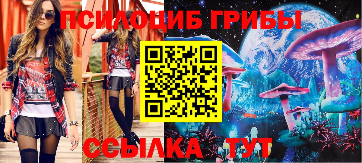 Псилоцибиновые грибы Psilocybe  Вход с VPN  Галлюциногенные грибы Psilocybe  Ревда 